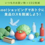 Yahooショッピングで「訳あり商品」を安く販売