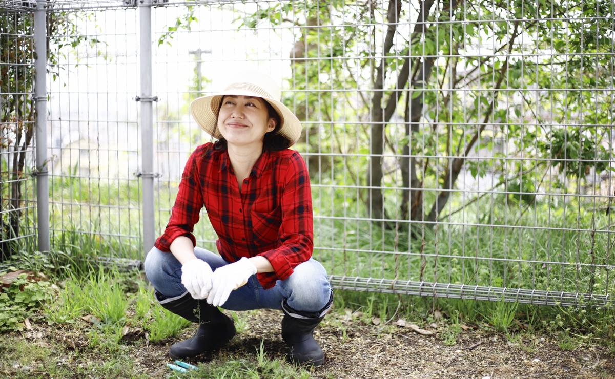 庭に生えたボーボーの雑草処分が面倒？ならば、まるごとスッキリ隊が回収します！ | 株式会社タイヨー|産業廃棄物・ごみの収集・不用品の回収 ・片付け・遺品整理